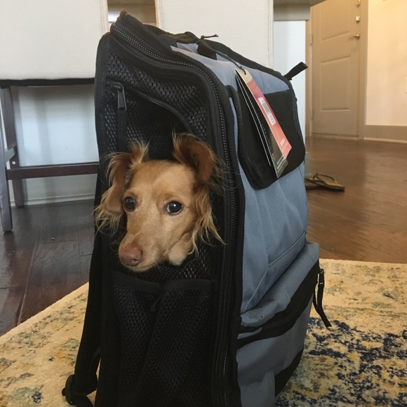 timbuk2 muttmover light backpack